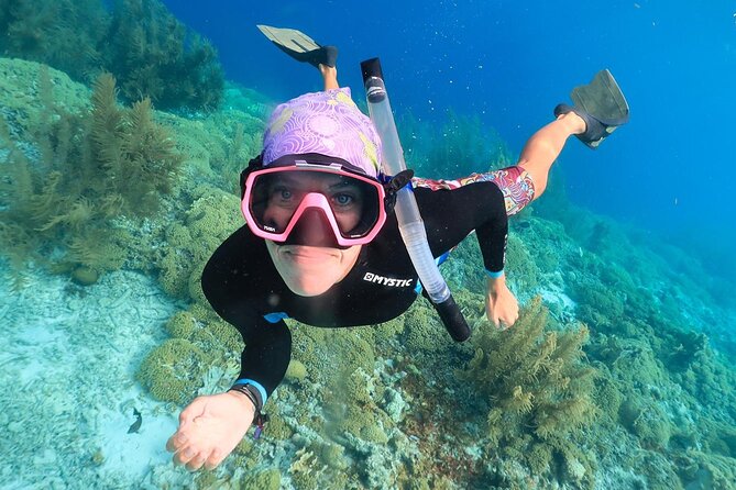 100% Private Charter Snorkel, Sail, Relax (Cruisers Friendly) - Snorkeling inside Bonaire National Marine Park