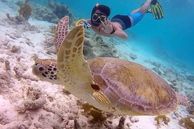 100% Private Charter Snorkel, Sail, Relax (Cruisers Friendly) - Snacks, an open bar, and the pace of the afternoon
