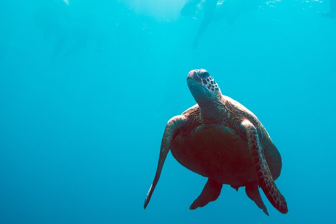 2 Day & 2 Night Whitsundays Sailing Adventure on Broomstick - Life aboard Broomstick for two nights