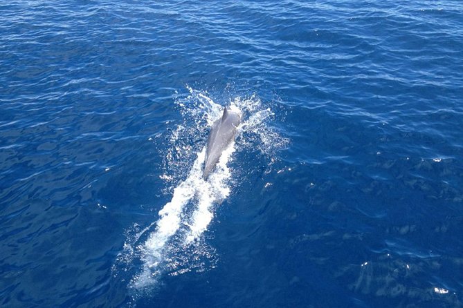 2-Day Halkidiki Sailing Cruise - Crew, Safety, and the Human Side of the Trip