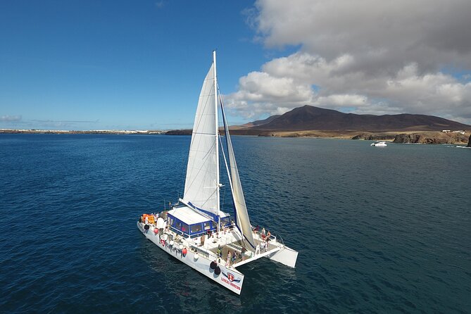 2hrs Dolphins Sunset Sailing Cruise With Drink - Searching for dolphins in Lanzarote’s waters
