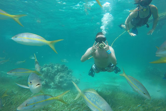 3 ADVENTURES: Sailing Catamaran Cruise - Hooka Diving - Snorkeling - What this Punta Cana afternoon is really about