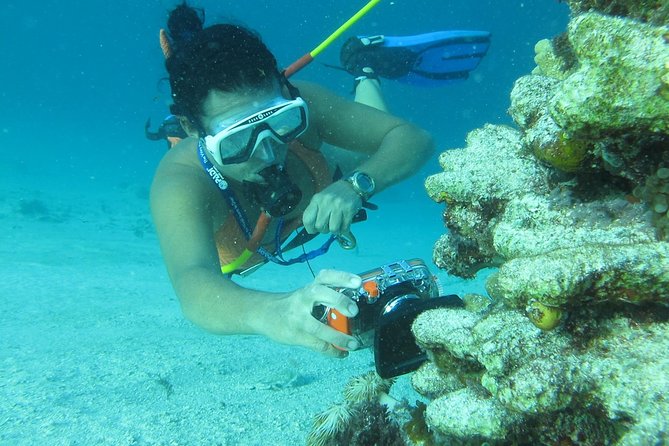 3 ADVENTURES: Sailing Catamaran Cruise - Hooka Diving - Snorkeling - The small details that affect your afternoon