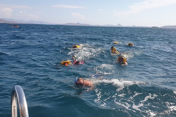 3-Days Sailing Komodo Island,Padar & Manta Point departure every Friday - What the $311 price really covers