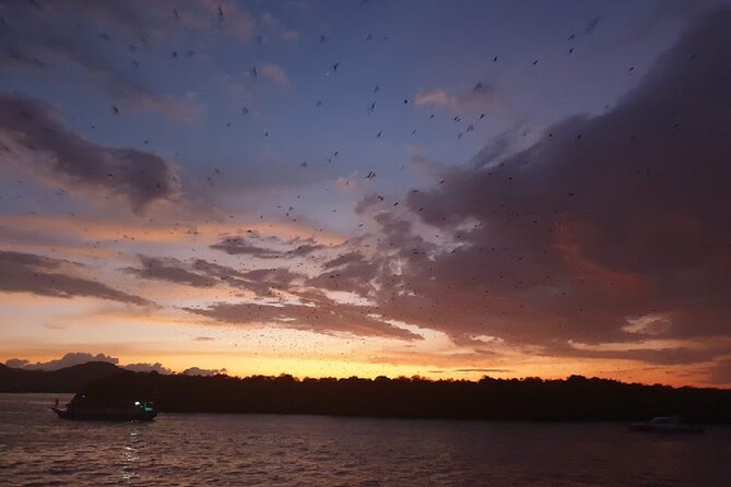 3-Days Sailing Komodo Island,Padar & Manta Point departure every Friday - Day two: Padar sunrise and the pink shore