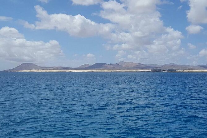 3-Hour Small-Group Sailing Tour around the Lobos Island - Drinks, music, and the easygoing mood