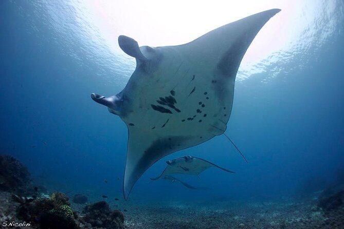 3D2N Sailing Komodo Living on Board Fiday to Sunday (Labuan Bajo) - The Price, Fees, and Overall Value