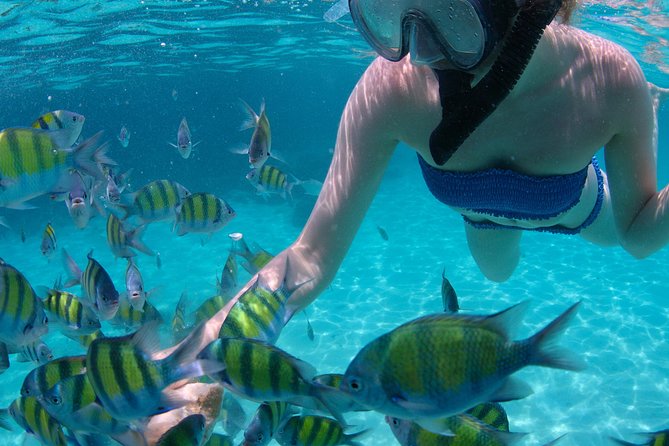 4-Hour Catamaran Sail and Snorkel Tour from Grace Bay - Lunch comes with a view of the sea
