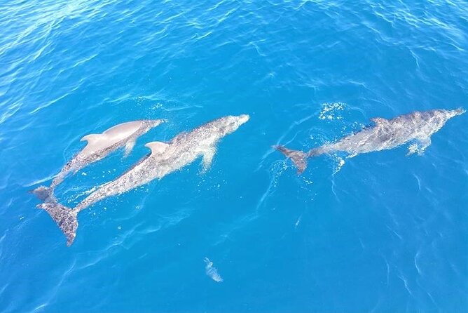 4-Hour Fort Lauderdale Sailing Charter - The Atlantic Intracoastal Waterway and the open sea