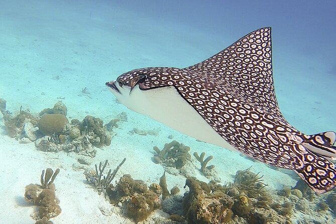 4 Hour Private Catamaran Sail and Snorkel from Grace Bay Beach, Providenciales - Who should book this sailing day?
