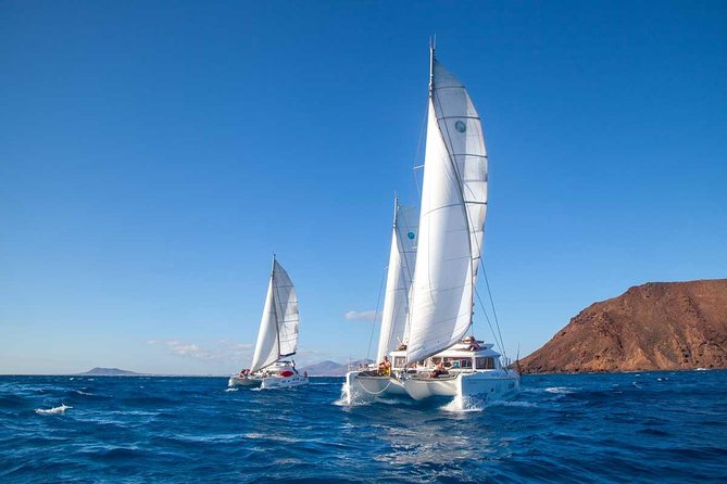 4-Hour Sailing Tour of Lobos Island from Fuerteventura - Booking, Weather, and Cancellation Details