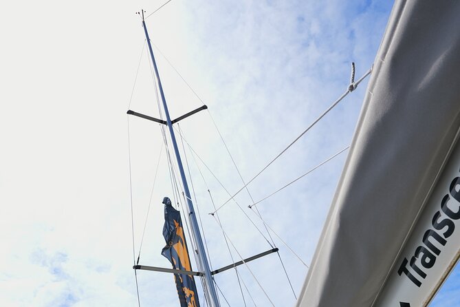 4 Hours Private Swimming/Sailing Tour on Sailboat in Lisbon Beach - The Champalimaud Foundation and Lisbon’s modern riverfront