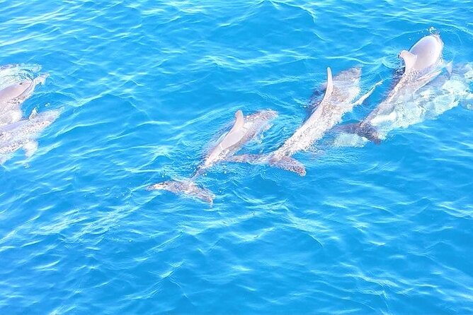 6-Hour Sailing Charter from Fort Lauderdale - Passing the International Swimming Hall of Fame