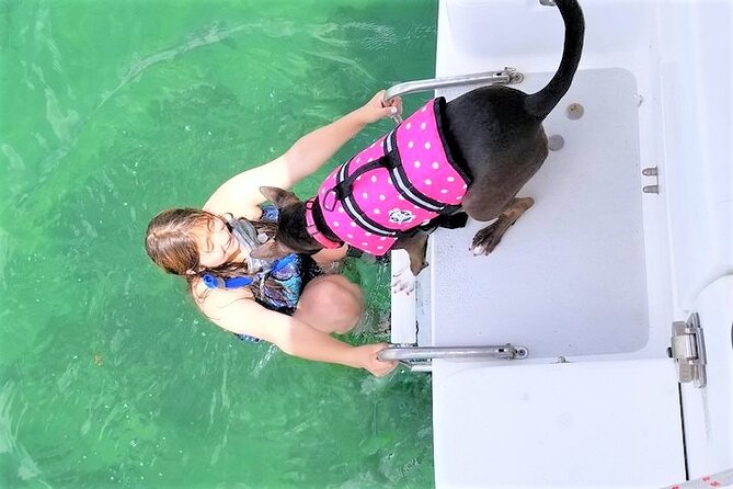6-Hour Sailing Charter from Fort Lauderdale - Waterfront mansions, yachts, and possible wildlife