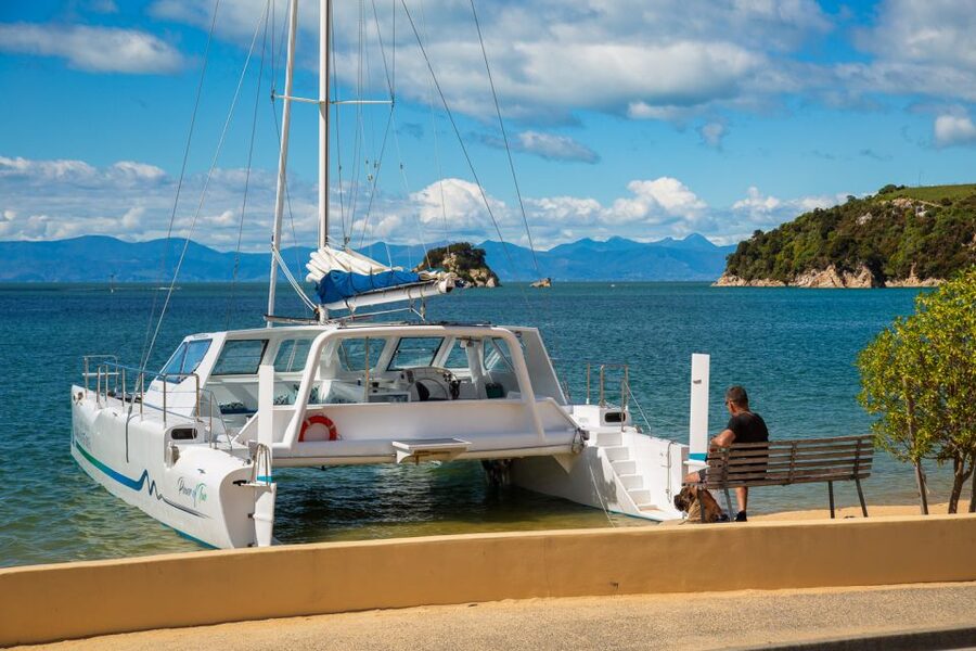 Abel Tasman National Park: Day Sailing Adventure with Lunch - What $158 includes, and where the value lies