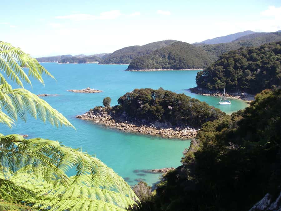 Abel Tasman National Park: Sailing and Self-Guided Walk - Why this sailing and walking combination works