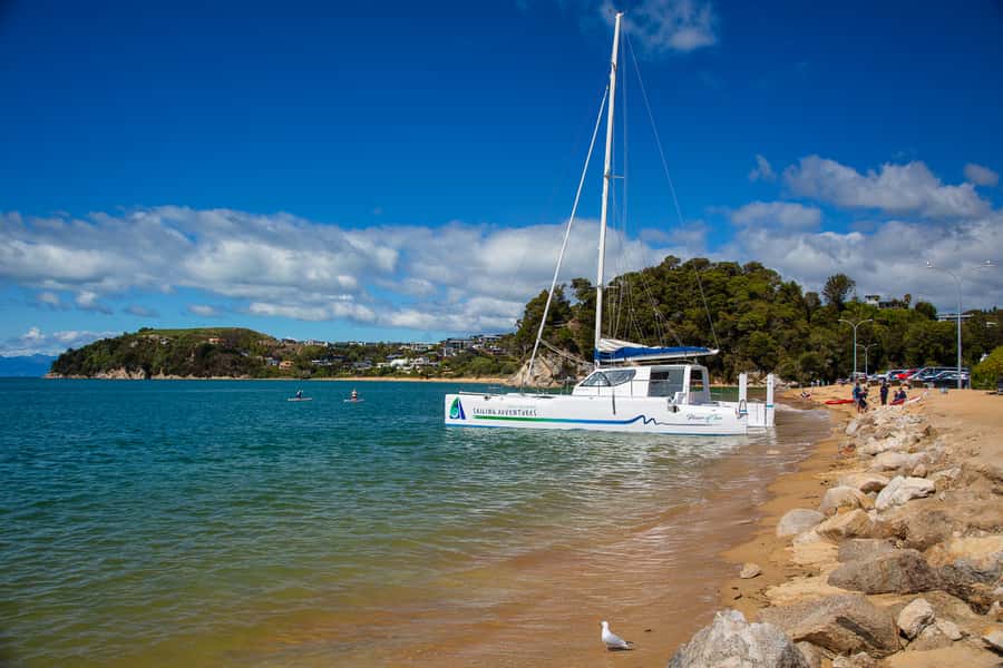 Abel Tasman National Park: Self-Guided Walk & Sailing - Who will enjoy this Abel Tasman day