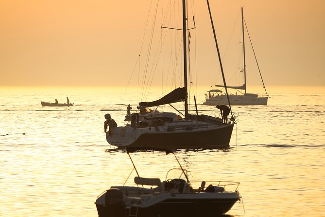 Activated Sailing trip 2 hours from Puerto de Banús Marbella - Sailing, motor power, and the weather question