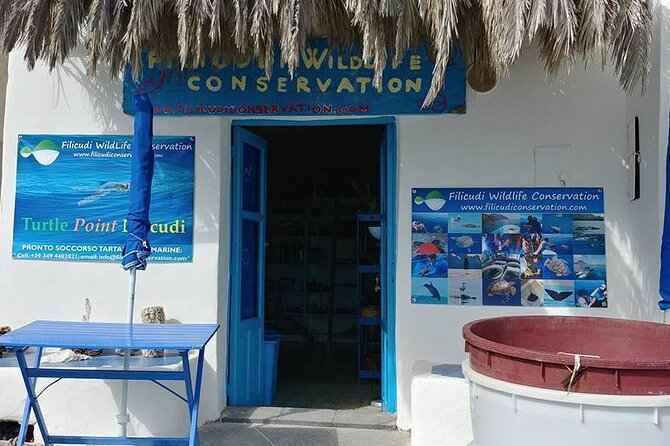 Aeolian Islands - Sailing week with skipper and assistant - Day 3: Filicudi, a turtle rescue stop, and remote Alicudi