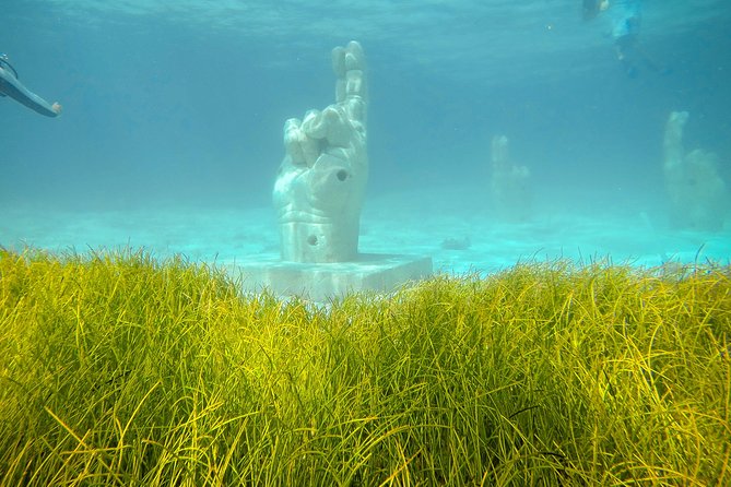 Afternoon Half-Day Catmaran Sailing and Snorkel Adventure - What to expect at the snorkeling stop