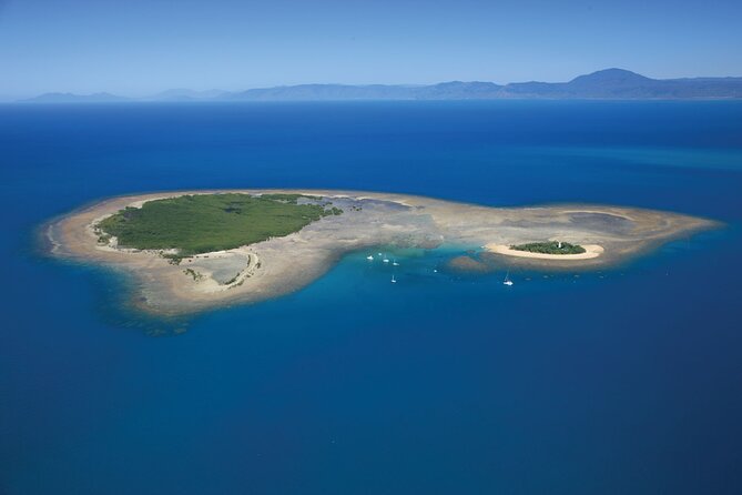 Afternoon Low Isles Snorkelling & Sunset Sail from Port Douglas - The glass-bottom boat and island alternatives