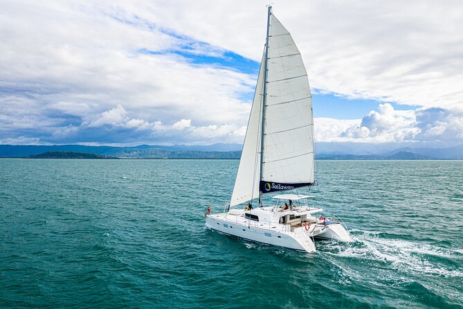 Afternoon Low Isles Snorkelling & Sunset Sail from Port Douglas - Why Low Isles works for a half-day reef trip