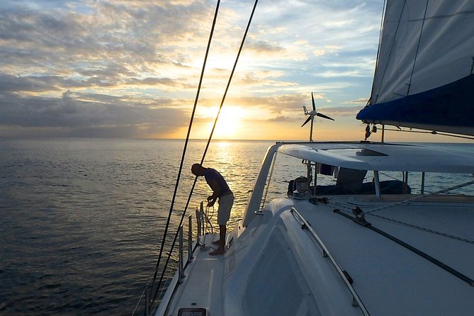 Afternoon Luxury Catamaran Sailing and Charter Cruise from Bridgetown - Pickup from Speightstown to Oistins