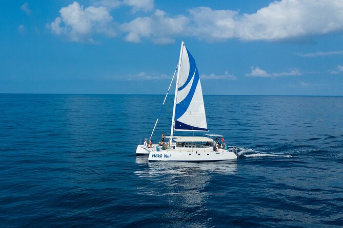 Afternoon Sail & Snorkel to the Captain Cook Monument - What the snorkeling is like