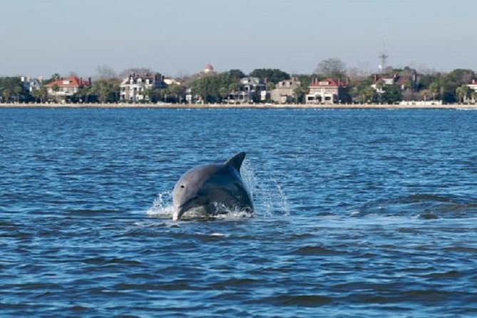 Afternoon Schooner Sightseeing Dolphin Cruise on Charleston Harbor - What sailing on the Schooner Pride feels like