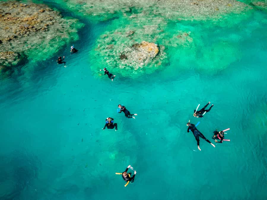 Airlie Beach: 2-Day Whitsunday Islands Sailing Snorkel Tour - Why Avatar suits an active Whitsundays trip