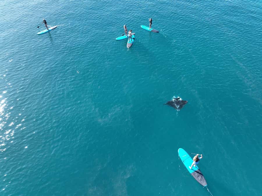 Airlie Beach: Whitsunday Islands Sailing, SUP & Snorkel Tour - A proper lunch, not just a snack