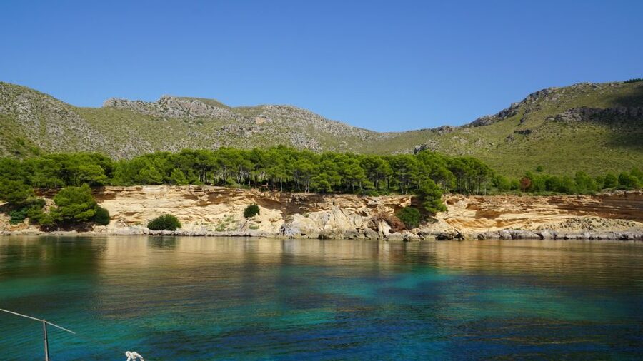 Alcudia: Sailing Yacht Excursion with Wine & Tapas - Who will enjoy this most