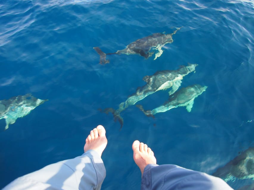 Always private 4 hour - Sail- dolphin Yacht Charter-paddle - How long is the charter really?