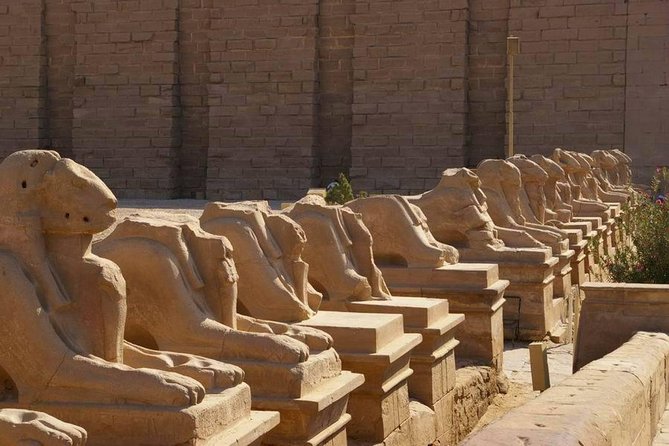 Amazing Day Tour To Luxor from Cairo by Plane,tours,sailing felucca&camel ride. - The Valley of the Kings and Its Hidden Tombs