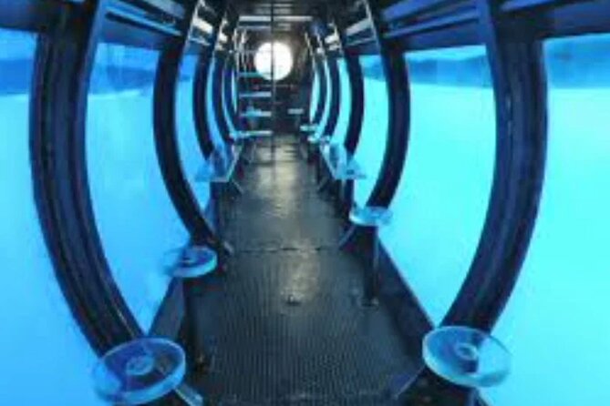 Aquaspace Morning Sail and Snorkel Tour on Bonaire with Lunch - Who will enjoy this most?