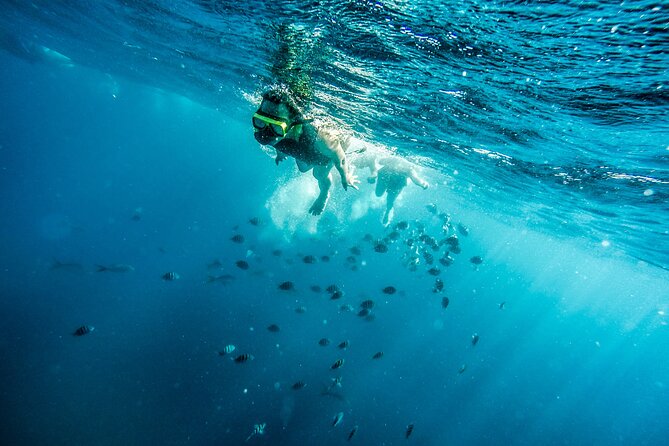 Aruba Afternoon Snorkel Sail aboard Palm Pleasure Catamaran - The SS Antilla: Aruba’s most memorable snorkel stop