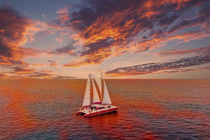 Aruba Morning Snorkeling or Sunset Sail to Boca Catalina With BBQ - Key points to know before you book