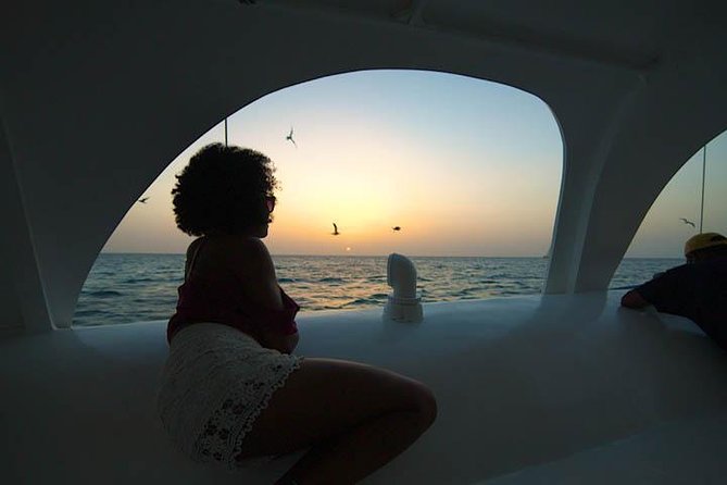 Aruba Sunset Sail Cruise Aboard The Dolphin Catamaran - Who will enjoy this cruise most?