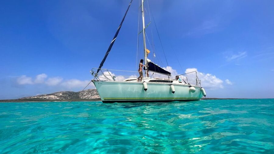 Asinara: Full Day Sailboat Excursion from Stintino - Key Things to Know Before You Go