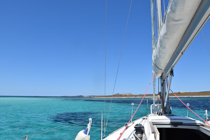 Asinara: sailing experience among the coves of the island - Key details to know before booking