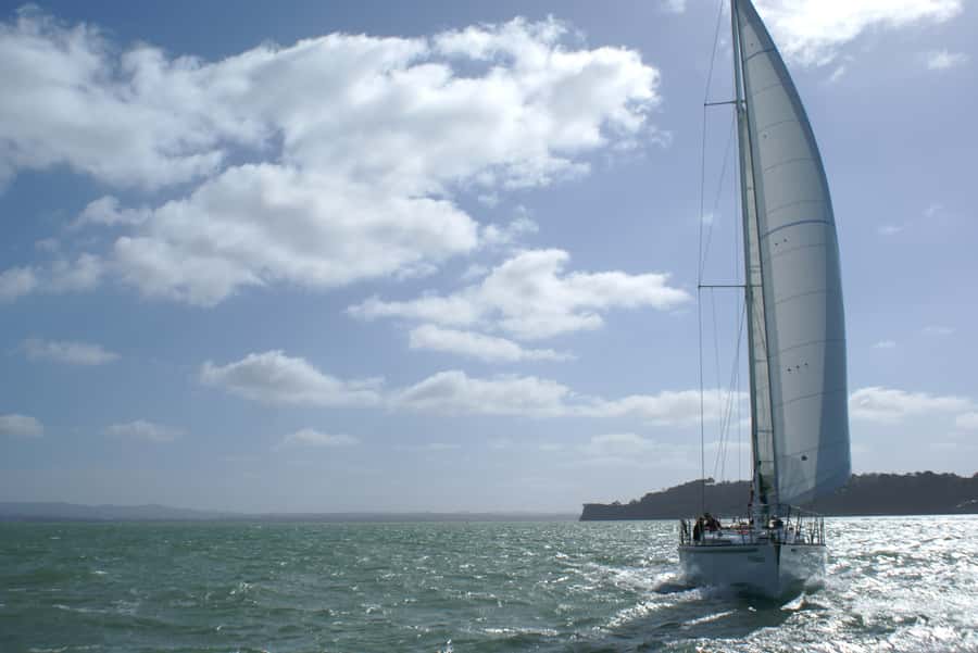 Auckland Harbour 1.5-Hour Sailing Cruise - Should You Book the Auckland Harbour Sailing Cruise?