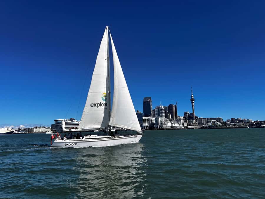 Auckland Harbour 1.5-Hour Sailing Cruise - Steering the Boat and Helping With the Sails