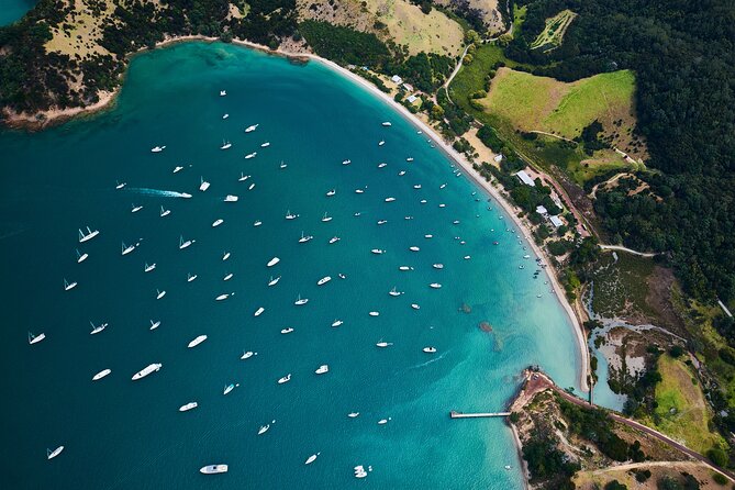 Auckland Harbour Sailboat Cruise Including Three Course Dinner - A three-course dinner served while you sail