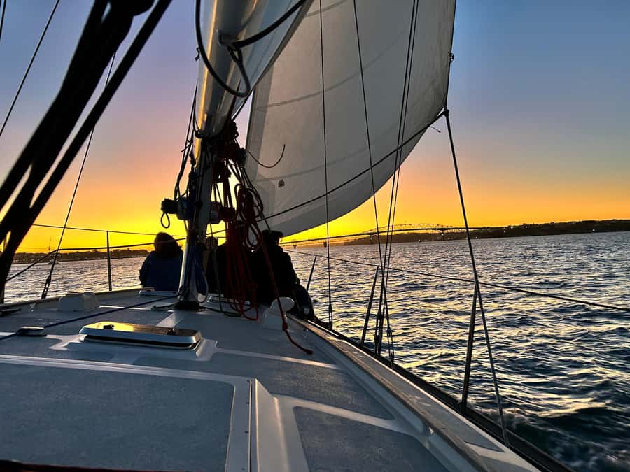 Auckland: Harbour Sailing Cruise with 3-Course Dinner - The details that matter most