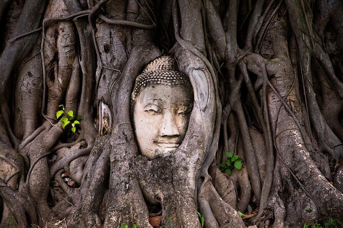 Ayutthaya Bicycle Tour, ATV, Floating Market and Sunset Sail - Key points to know before booking