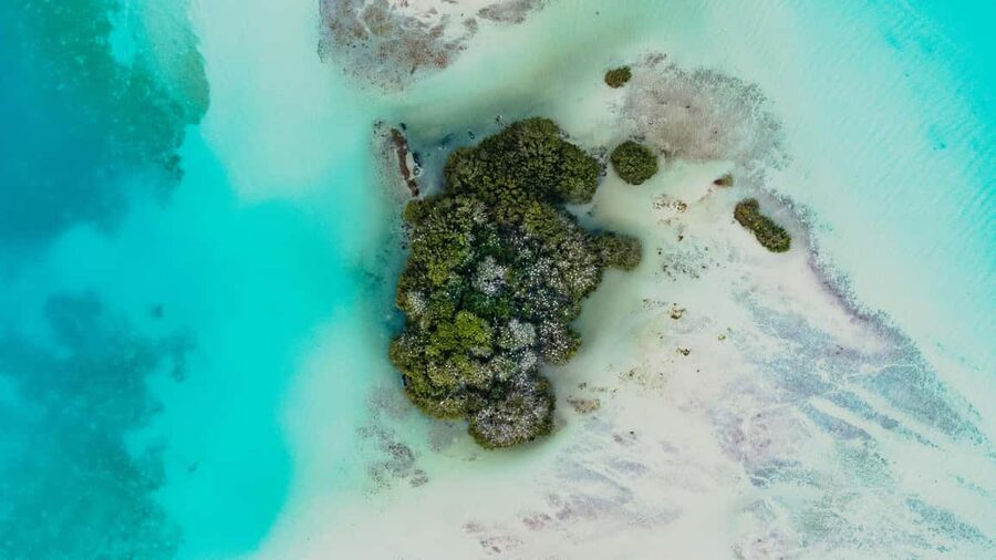 Bacalar Lagoon Sailing Tour with Open Bar and Mexican Lunch - The abandoned hotel and the cenotes