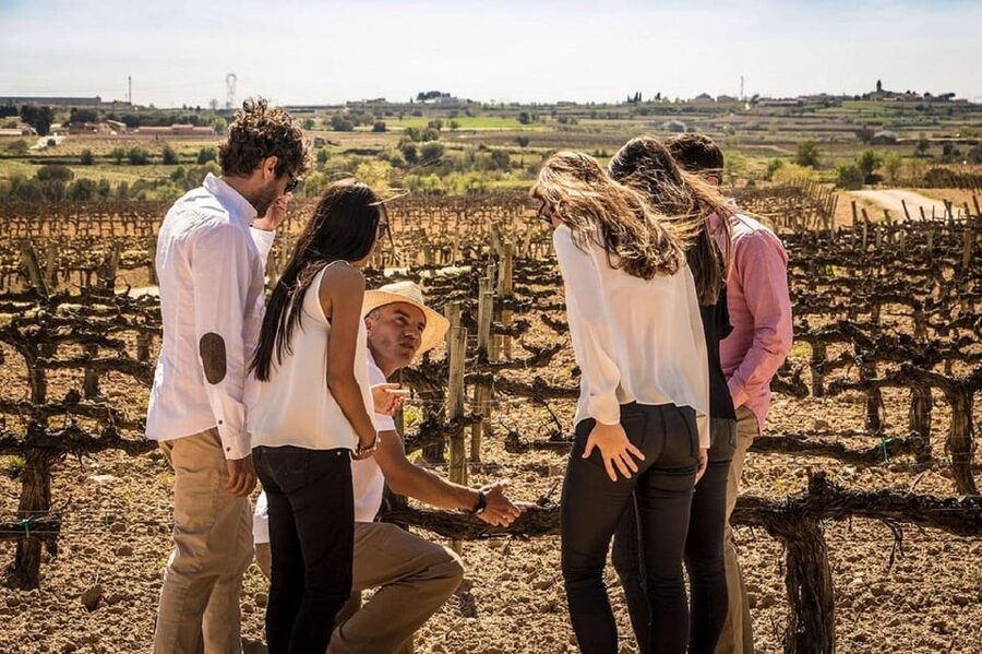 Barcelona: Sailing and Alella Winery Tour with Wine Tasting - Reaching El Masnou and heading inland
