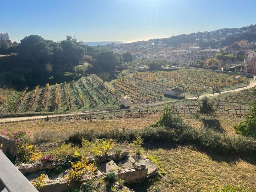 Barcelona: Sailing and Alella Winery Tour with Wine Tasting - Who should book this outing