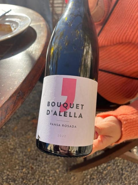 Barcelona: Sailing and Alella Winery Tour with Wine Tasting - A 90-minute sail along the Catalan coast