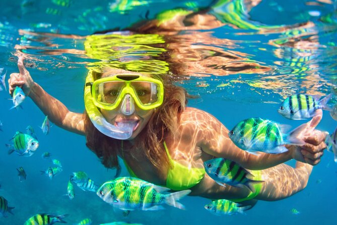 Barcelona Sailing Cruise and Party Passport Experience - Choosing your three Barcelona clubs
